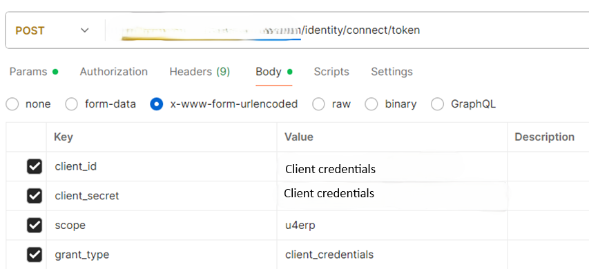 Swagger token retrival - parameters